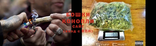 шишки Богородск