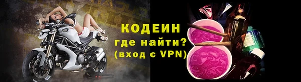 шишки Богородск