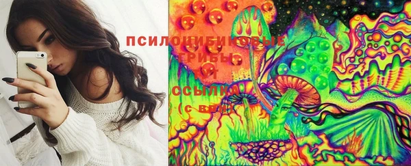 шишки Богородск