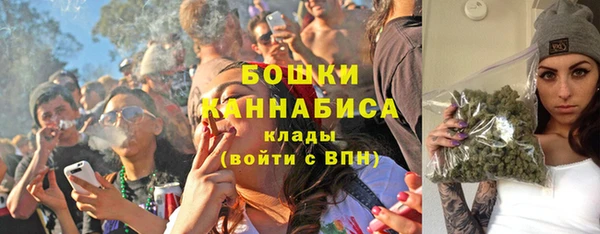 шишки Богородск