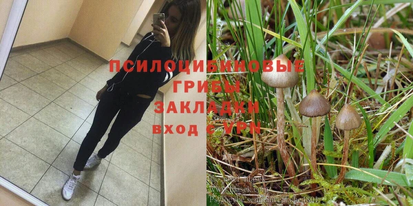 соль ск Богородицк