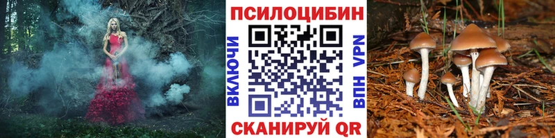 как найти наркотики  hydra tor  Галлюциногенные грибы прущие грибы  Клин 